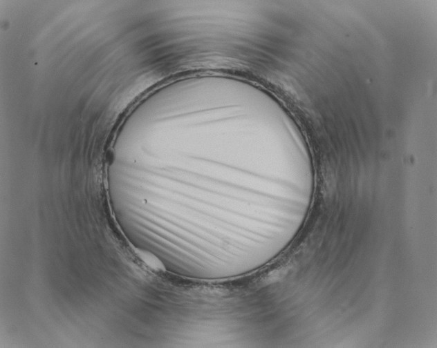 X0000088391073200706191327