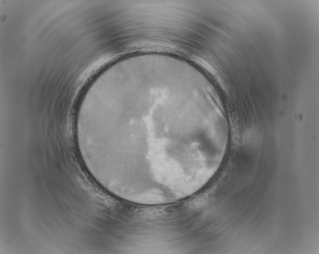 X0000088391074200706191327