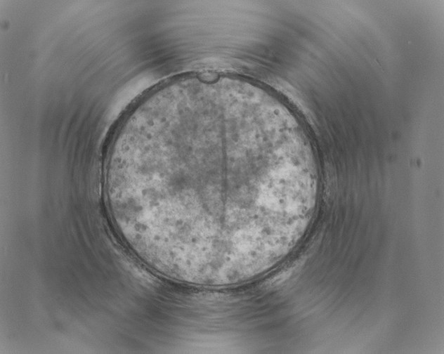 X0000088391075200706191327