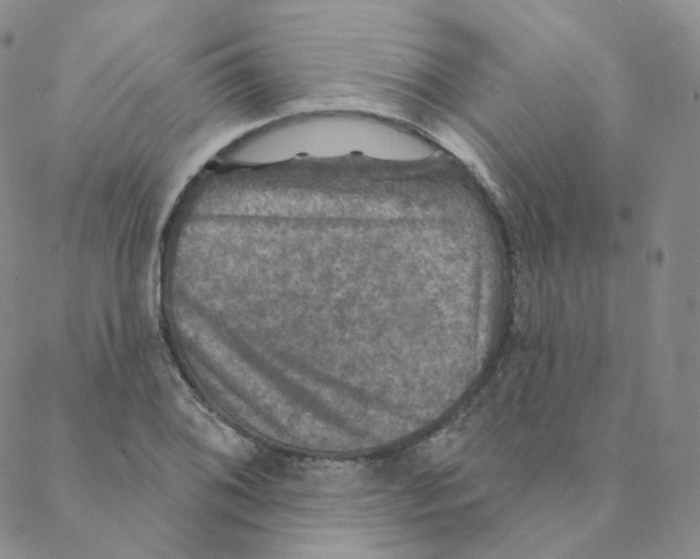 X0000088391076200706191327