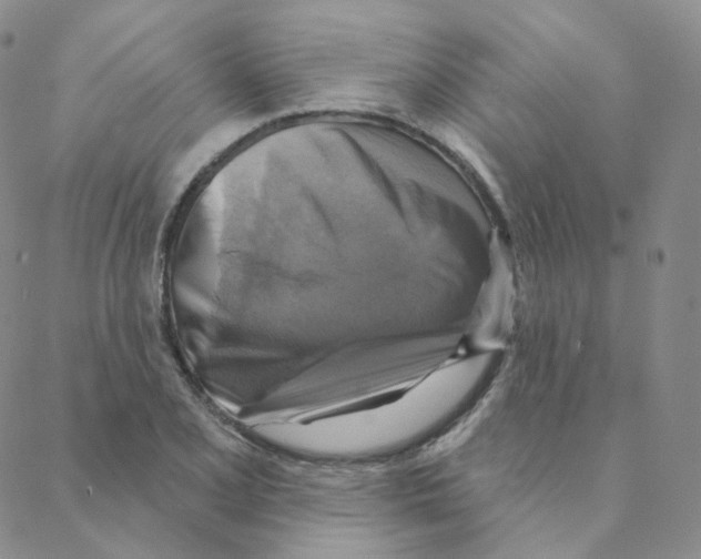 X0000088391077200706191327