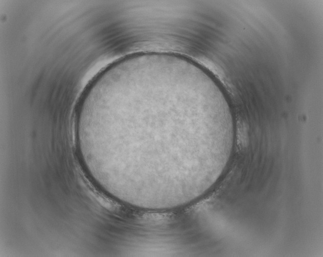 X0000088391078200706191327