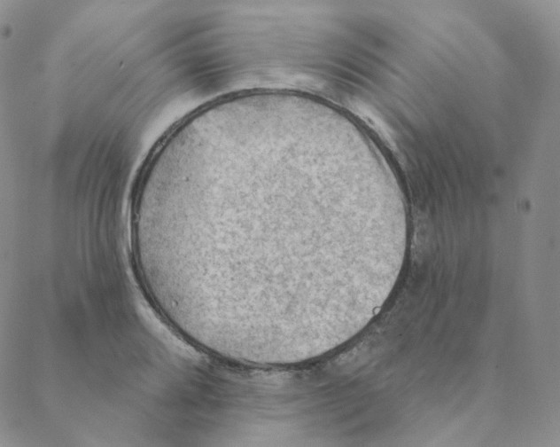 X0000088391080200706191327