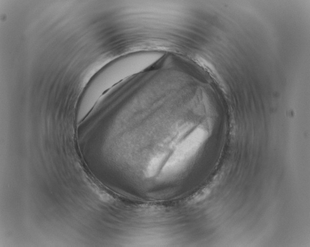 X0000088391081200706191327