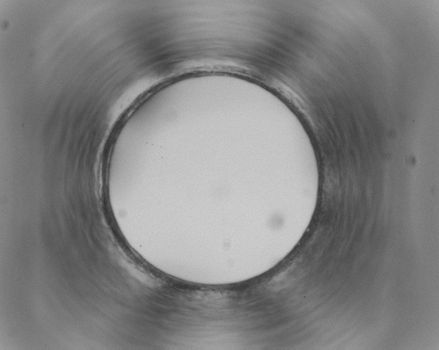 X0000088391082200706191327