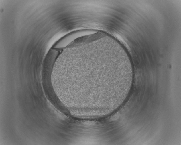 X0000088391085200706191327