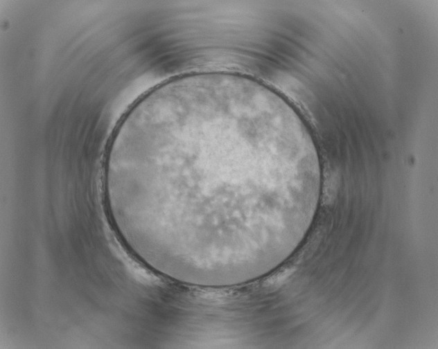 X0000088391086200706191327