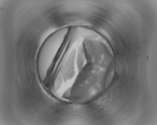 X0000088391087200706191327