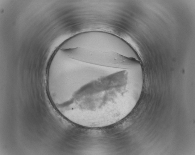 X0000088391088200706191327