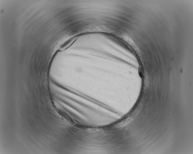 X0000088391089200706191327