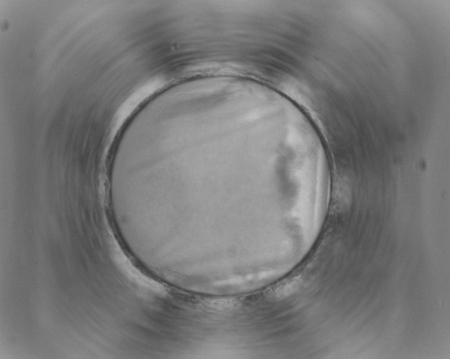 X0000088391090200706191327