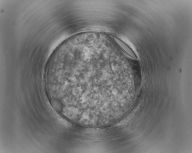 X0000088391091200706191327