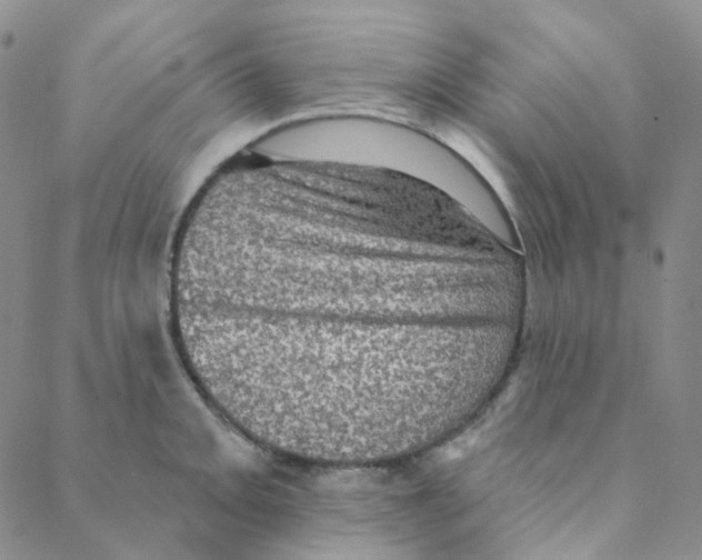 X0000088391093200706191326