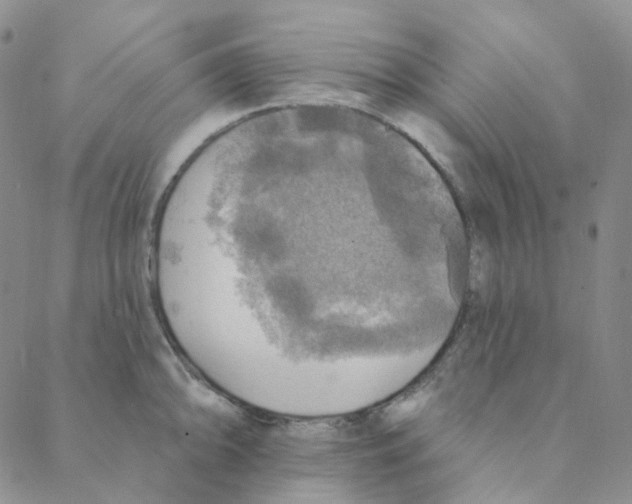 X0000088391094200706191326