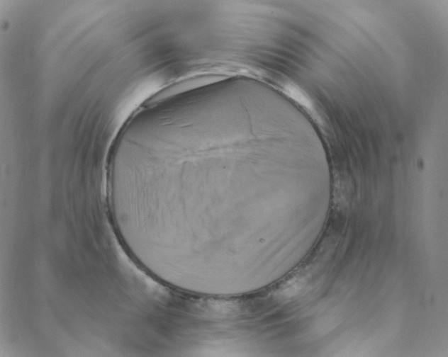 X0000088391095200706191326