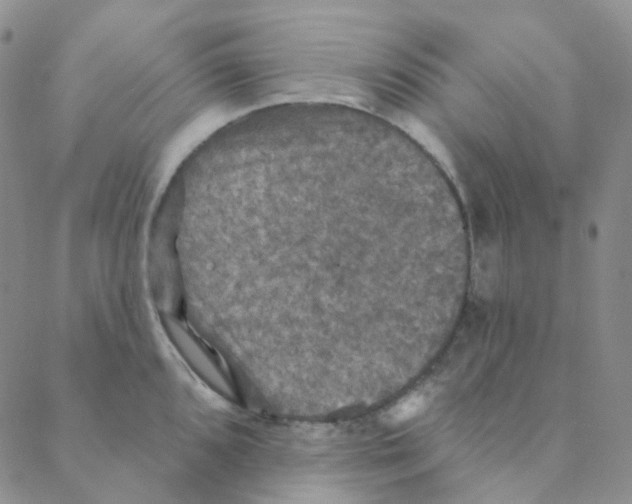 X0000088391096200706191326