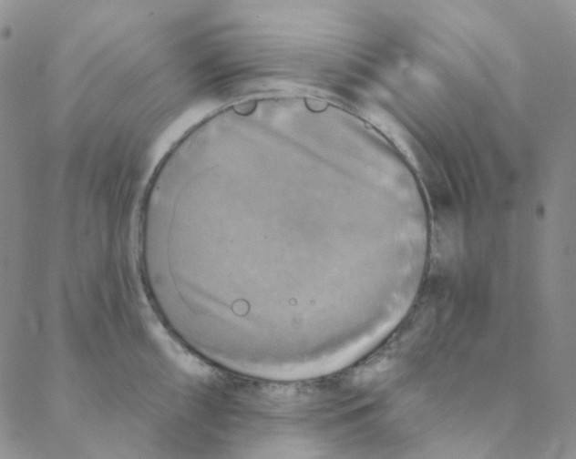 X0000088391098200706191326