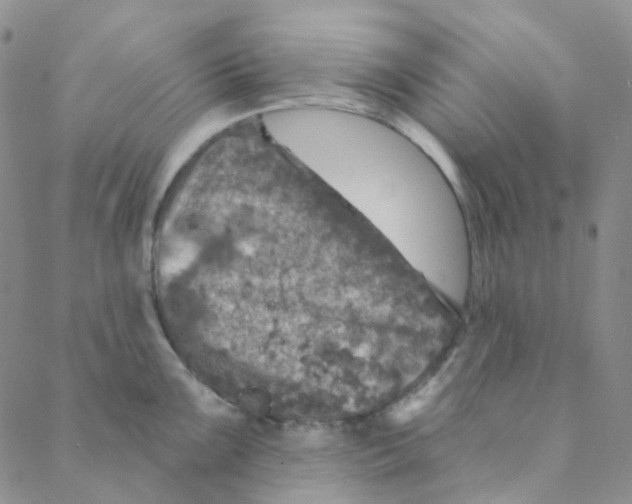 X0000088391099200706191326