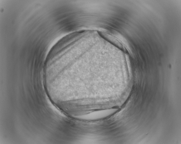 X0000088391100200706191326