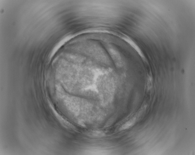 X0000088391101200706191326