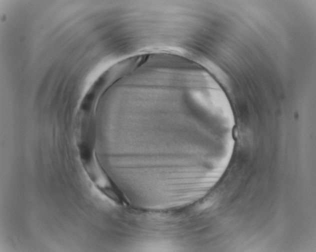 X0000088391102200706191326