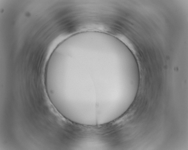 X0000088391104200706191326