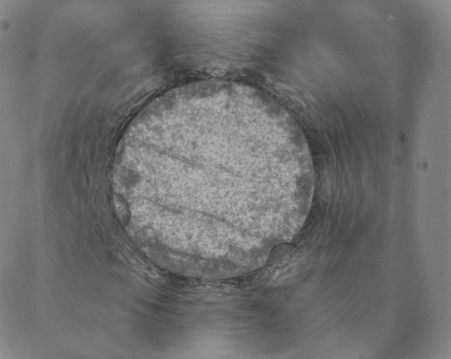 X0000088391105200706191326