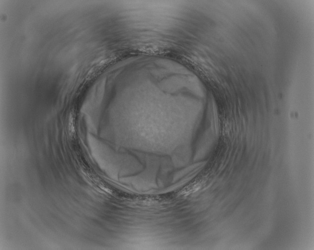 X0000088391106200706191326