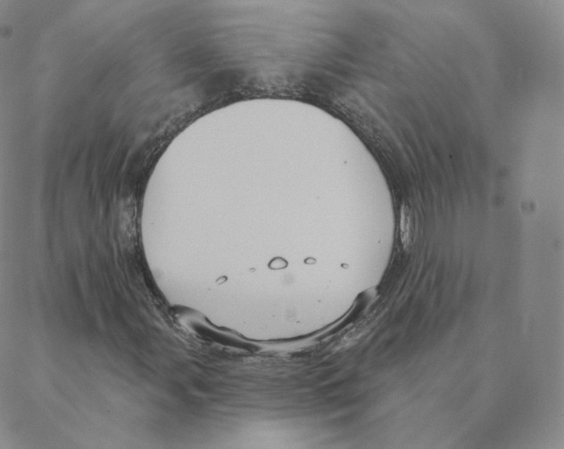 X0000088391107200706191326