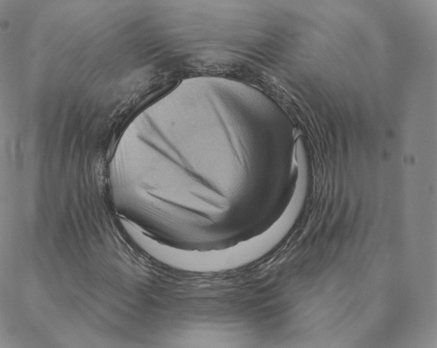 X0000088391108200706191326