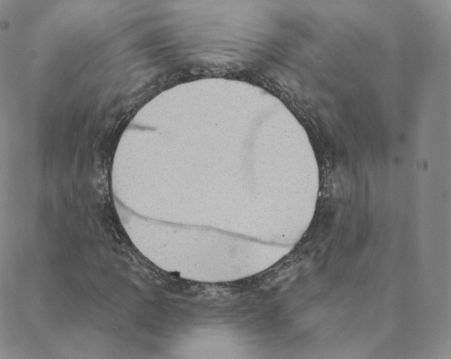 X0000088391109200706191326