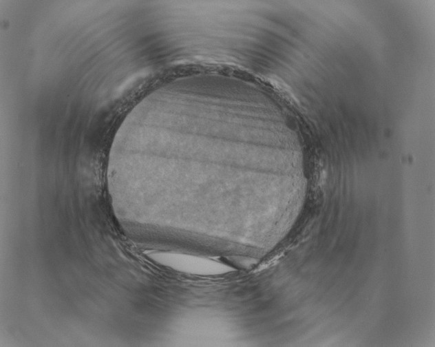 X0000088391110200706191326