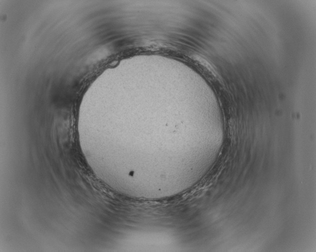 X0000088391111200706191326