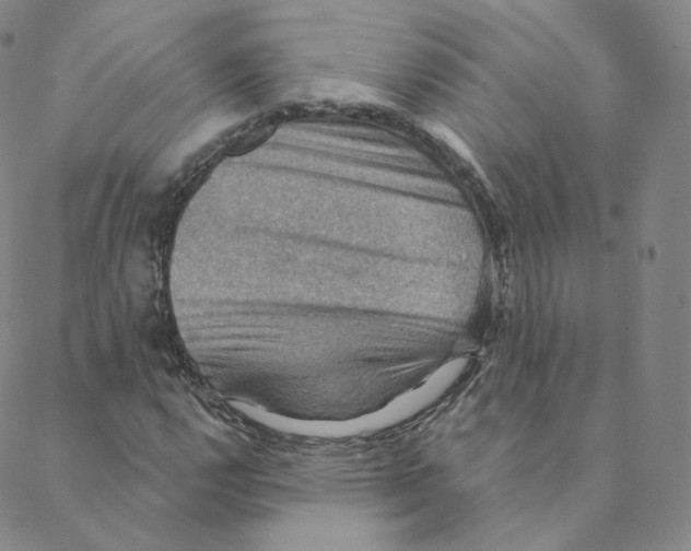 X0000088391112200706191326