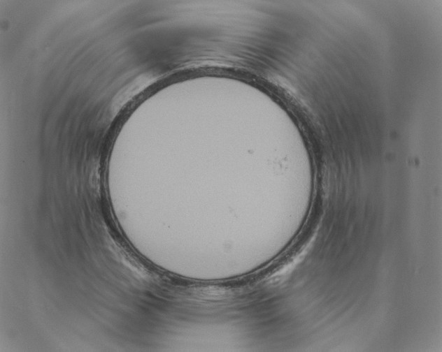 X0000088391113200706191326