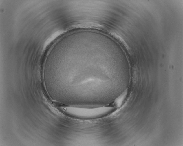 X0000088391114200706191326