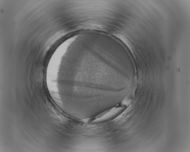 X0000088391115200706191326