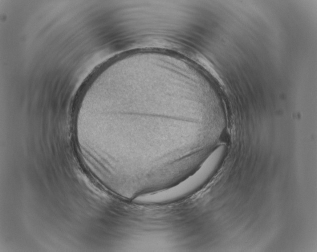 X0000088391116200706191326