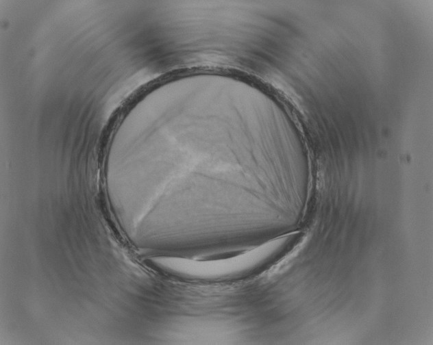 X0000088391117200706191326