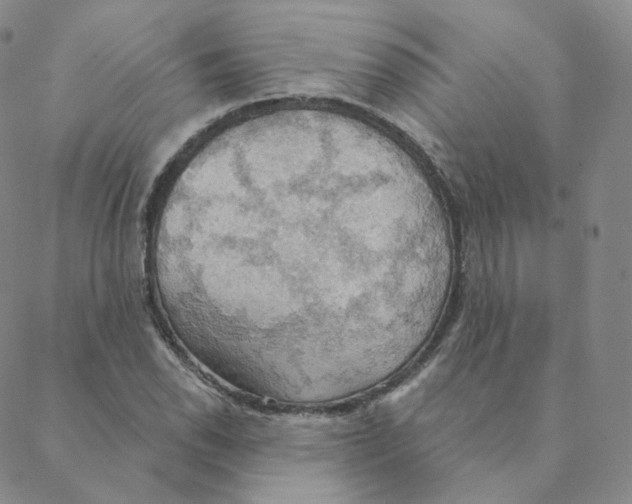 X0000088391118200706191326