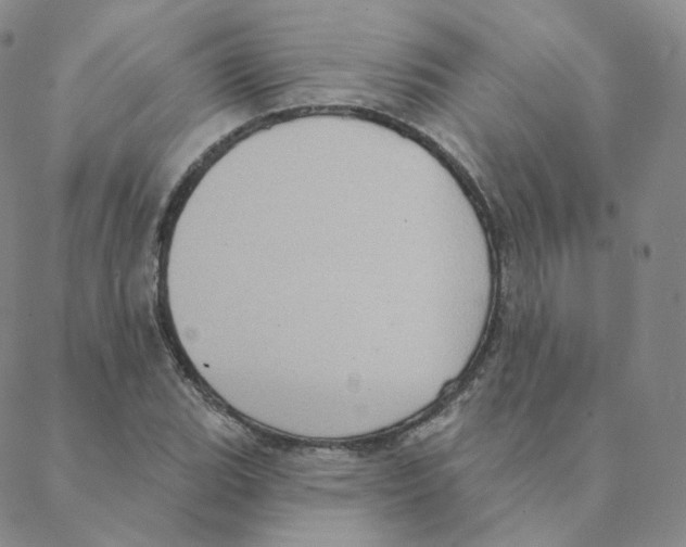 X0000088391119200706191326