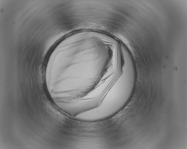 X0000088391120200706191326