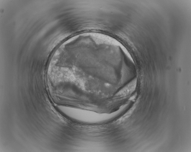 X0000088391121200706191326