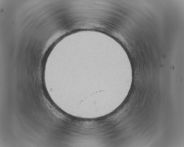 X0000088391122200706191326