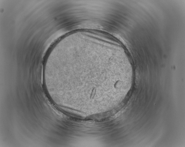 X0000088391123200706191326