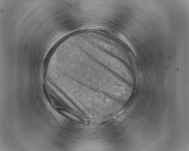 X0000088391124200706191326