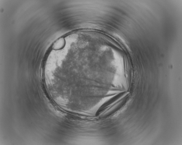 X0000088391125200706191326