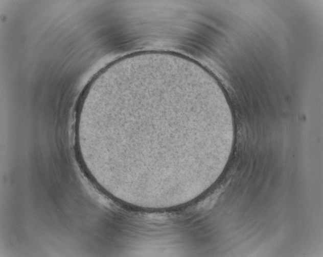 X0000088391126200706191326