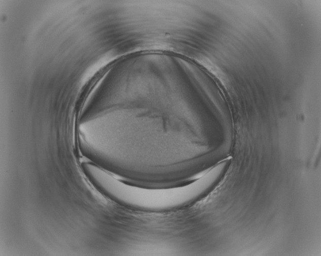 X0000088391127200706191326