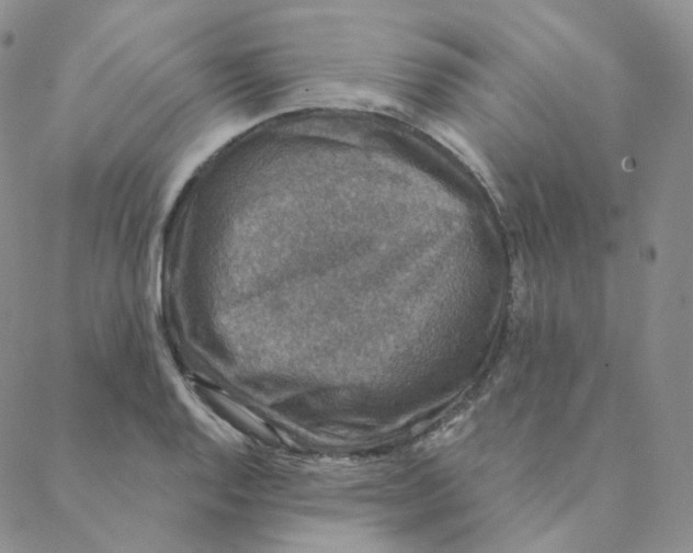 X0000088391128200706191326